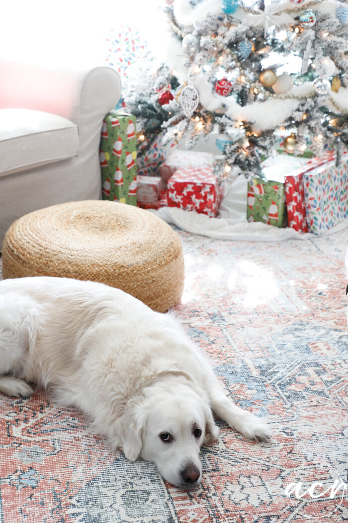 White dog laying on colorful rug