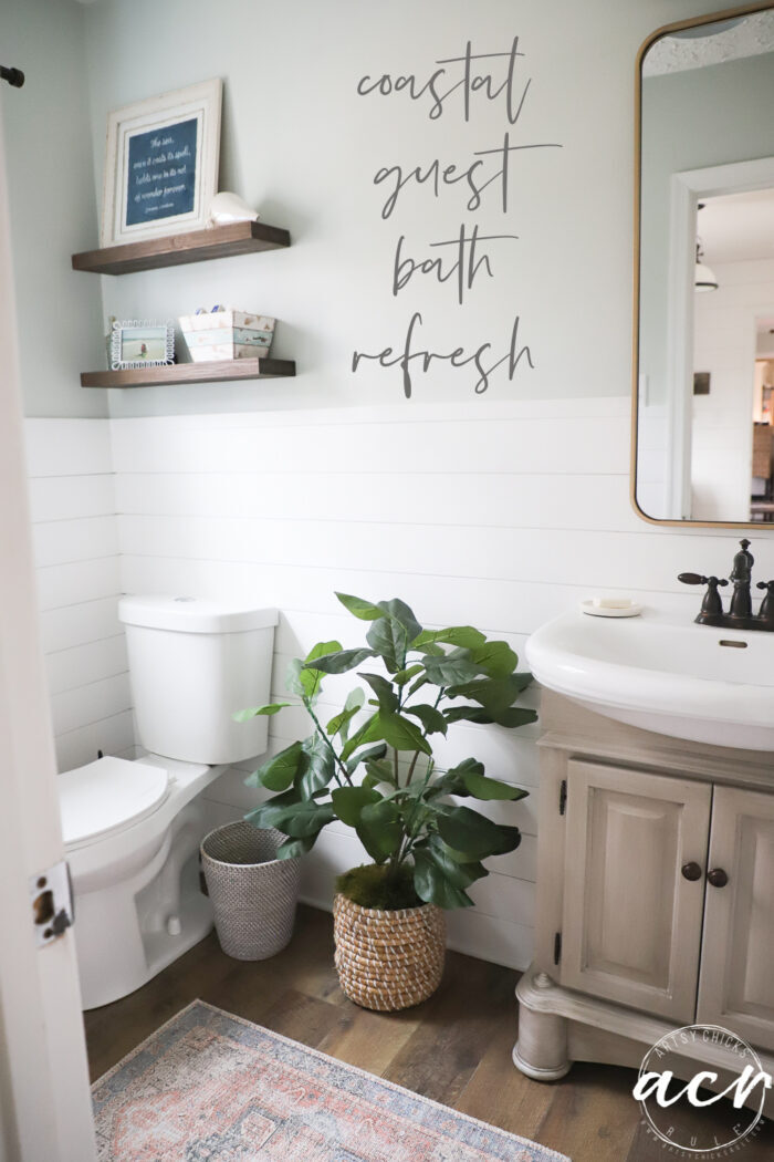 bathroom with white shiplap and green plant, shelves on wall and tan cabinet with gold framed mirror