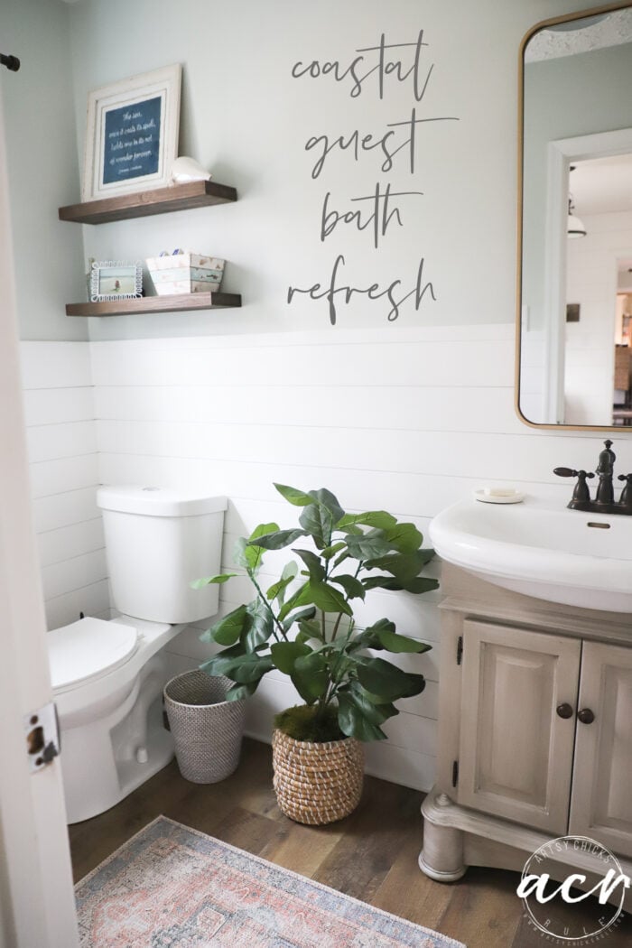 bathroom with white shiplap and green plant, shelves on wall and tan cabinet with gold framed mirror