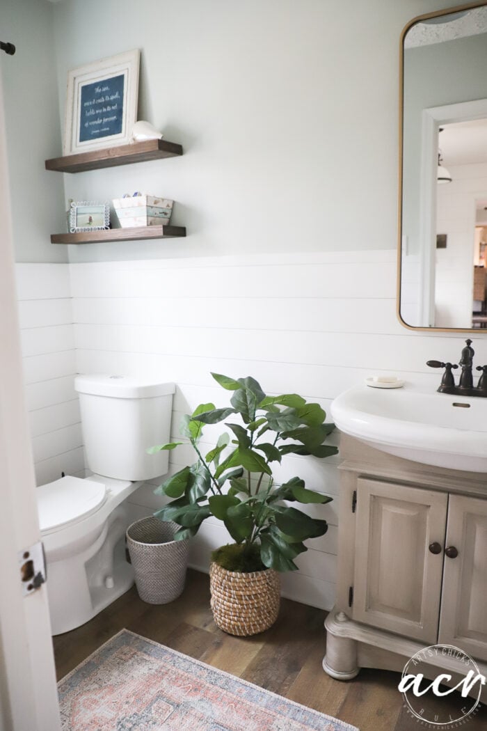 guest bath with tan cabinet green plant and shelves gold mirror