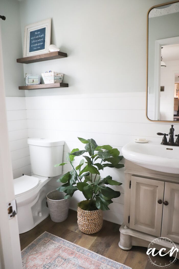 coastal bathroom with sea salt walls and driftwood accents