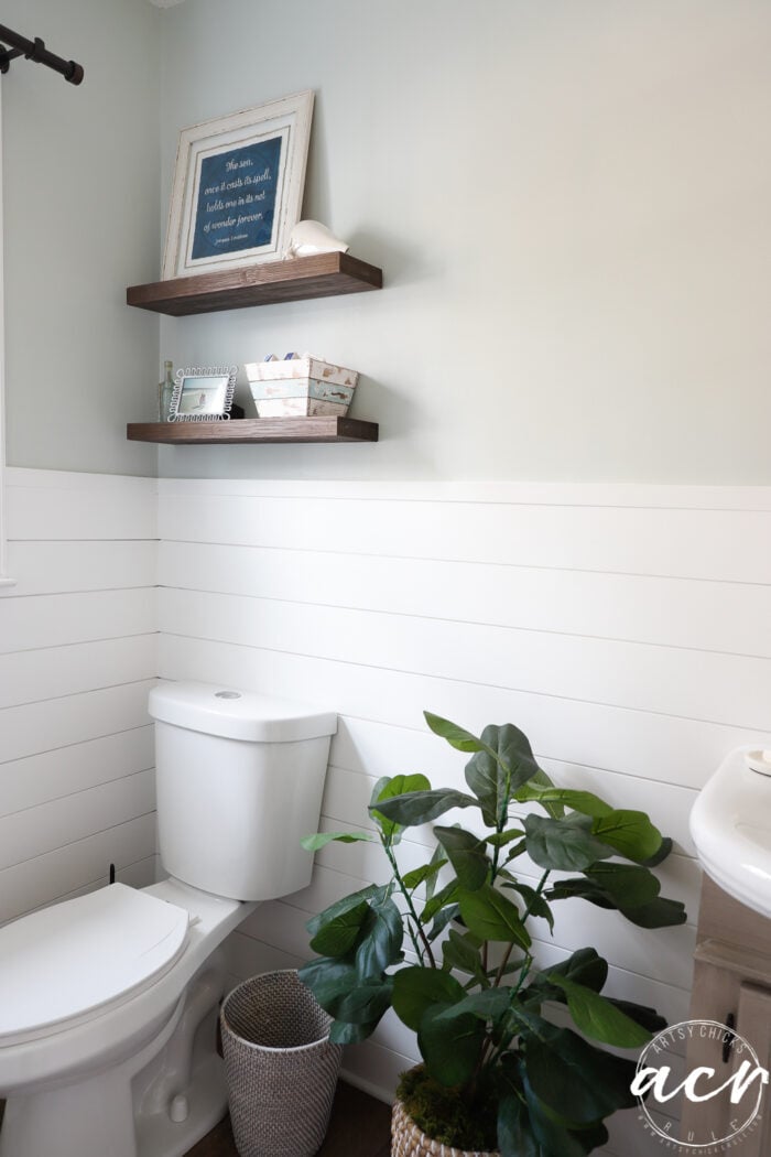 sea salt walls, brown floating shelves, green plant shiplap walls