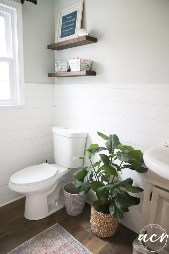 wood shelves on wall decorated with toilet and green fiddle leaf fig