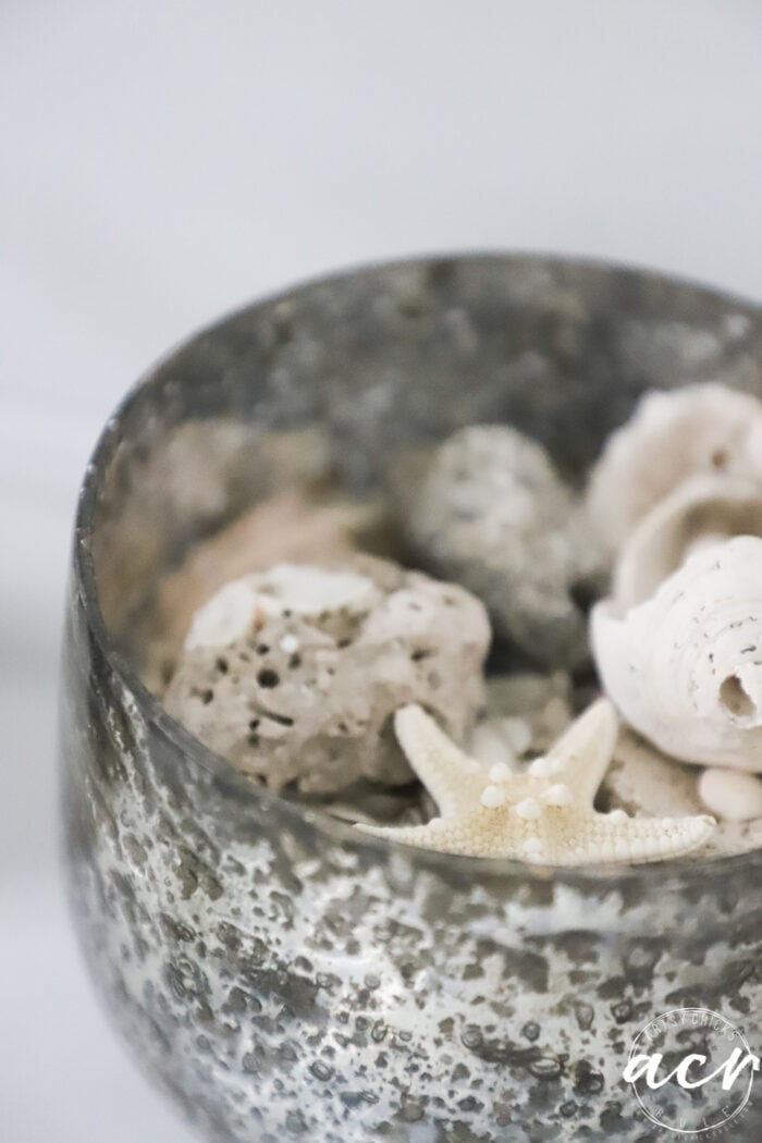 silver colored bowl with starfish and seashells