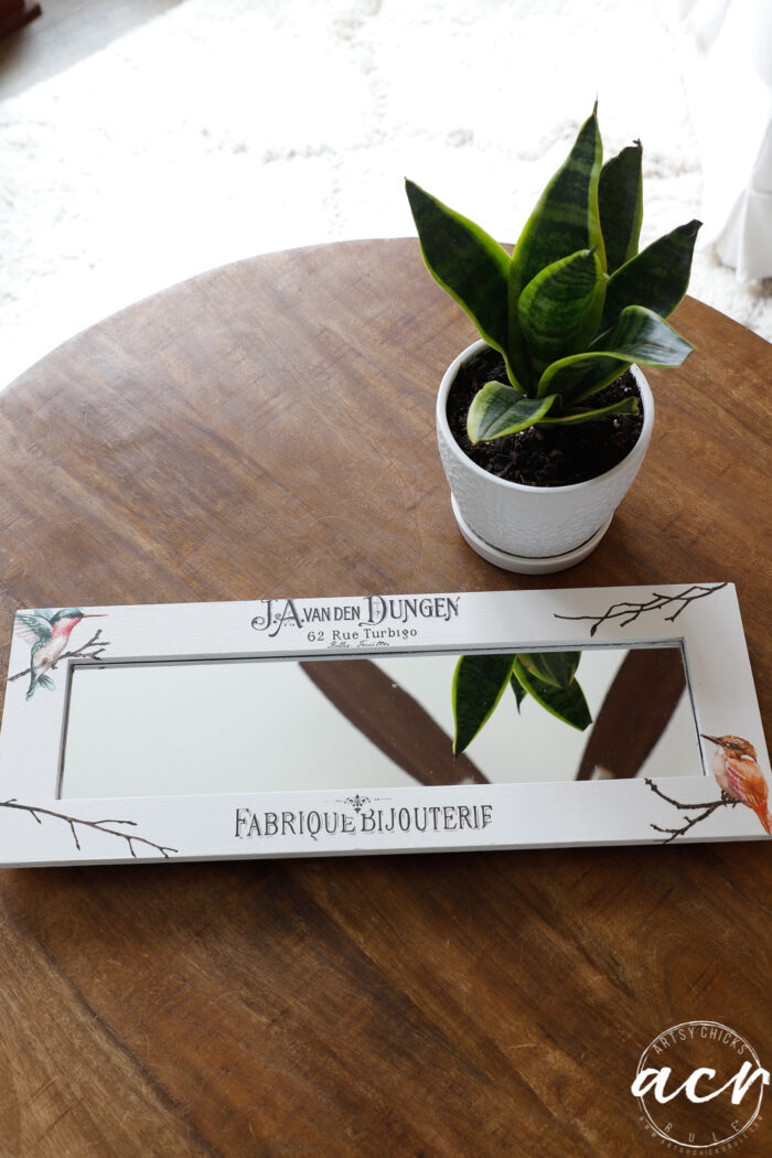 green plant, wood table top and finished mirrored tray with decor transfers