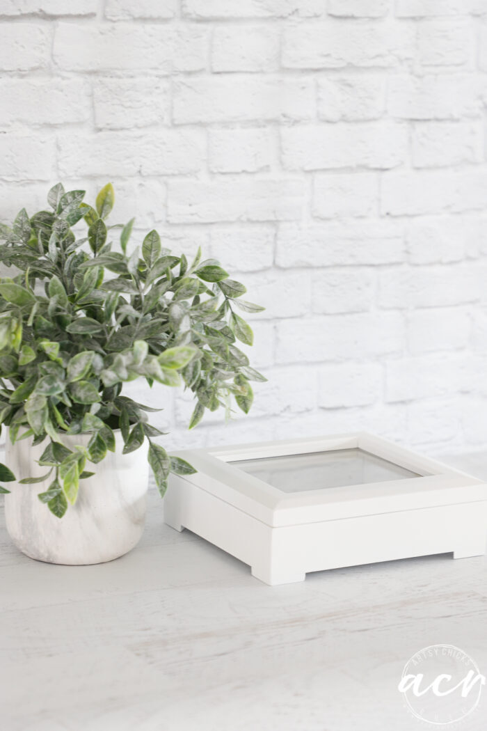 green plant next to white box