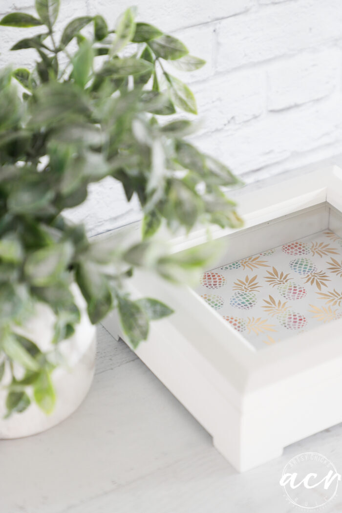 green plant and top view of white box and colorful paper bottom