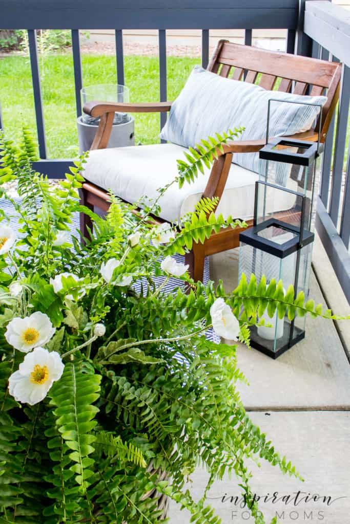 green fern and chair with lantern