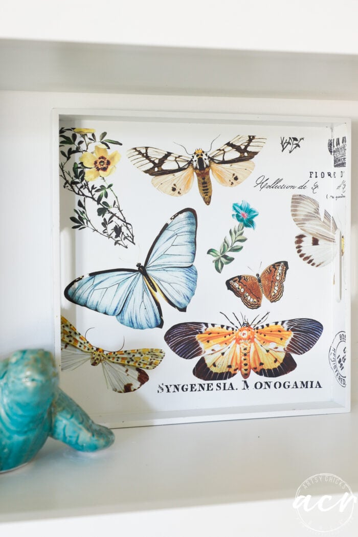 white tray with colorful butterflies