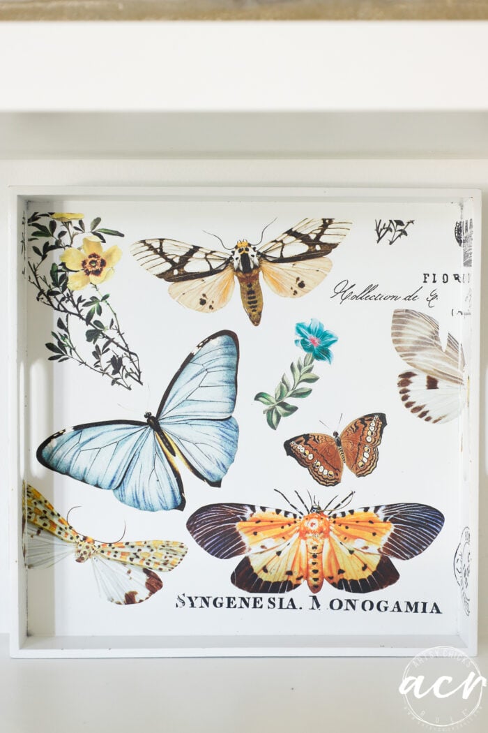 finished white tray with butterflies