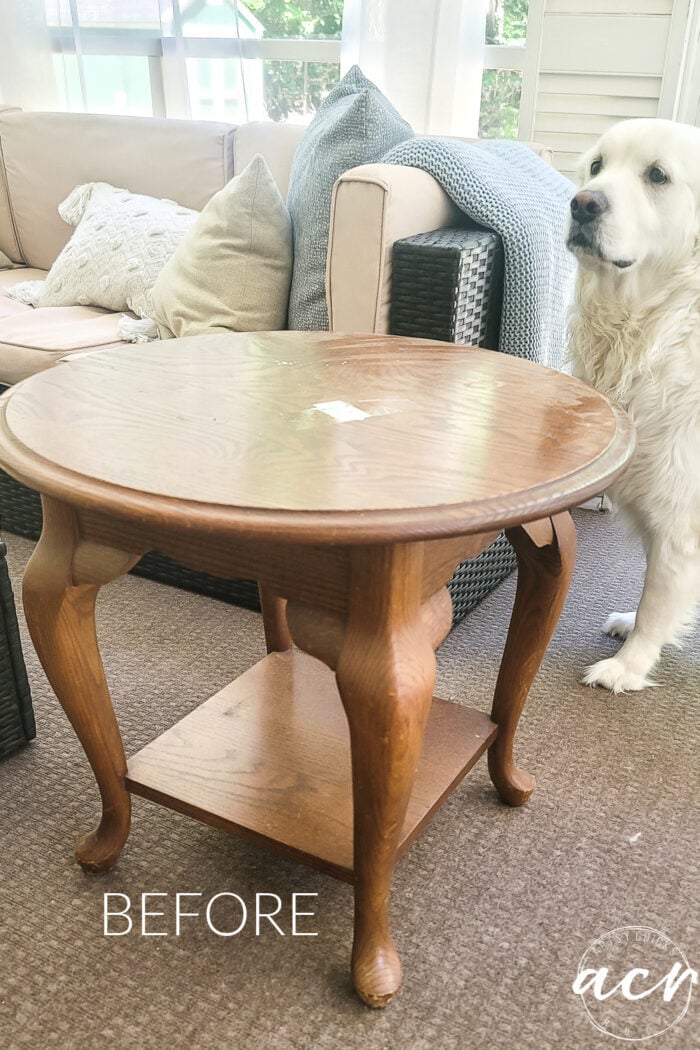 orange wood end table with white dog
