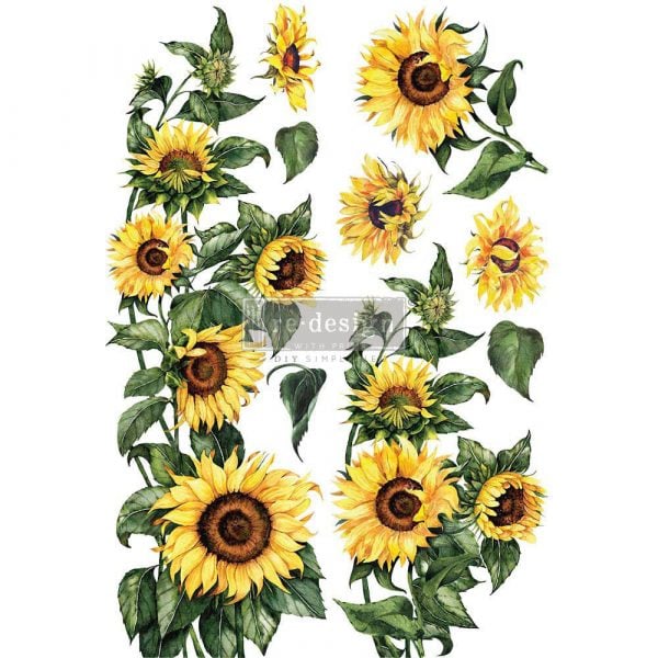 sunflowers