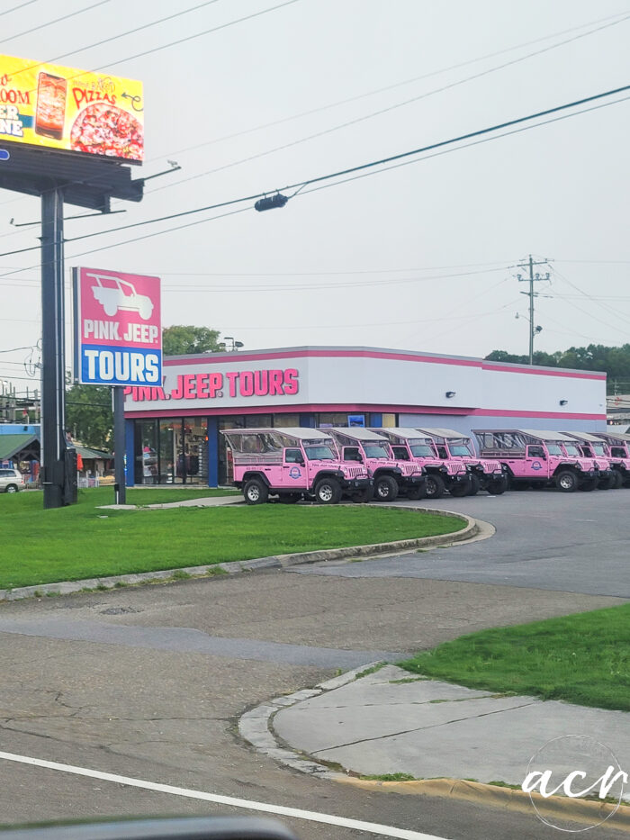 pink jeeps