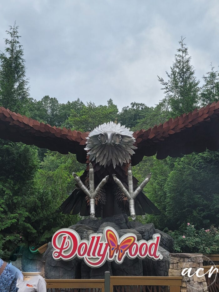 dollywood eagle