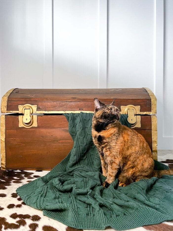 walnut stained trunk with gold trim