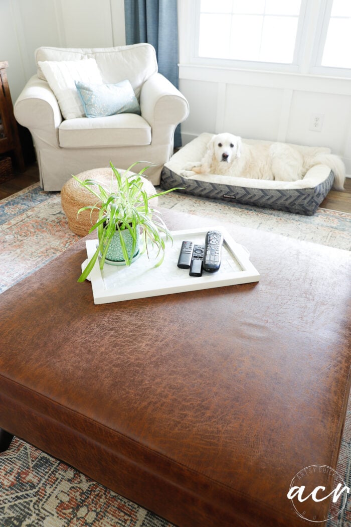ottoman with tray and white dog in dogbed