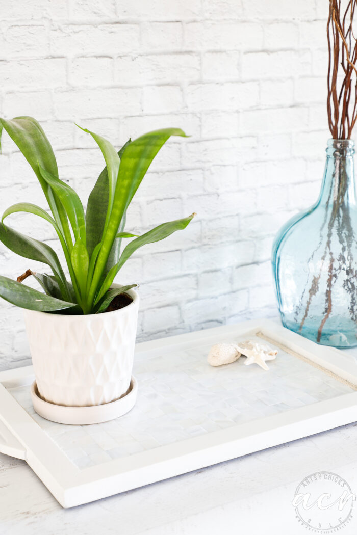 white tiled tray, green plant on table top