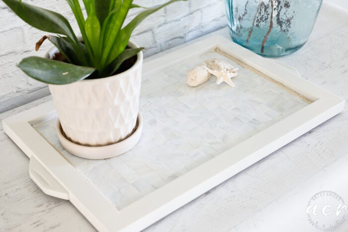 wood tray painted white with white tiles and green plant