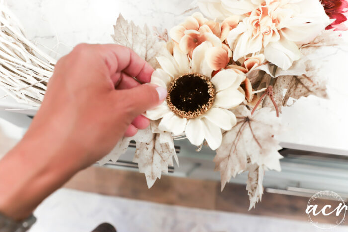 white sunflower