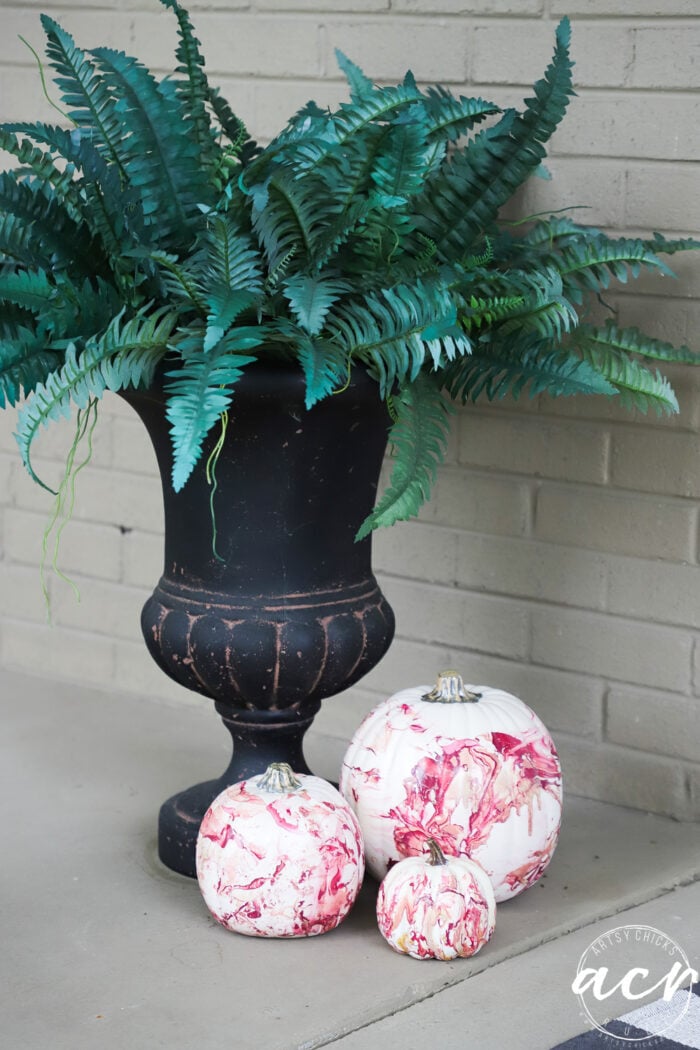 green fern with marbled pumpkins