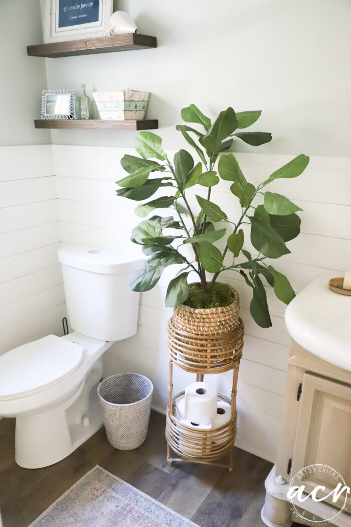 plant in bathroom