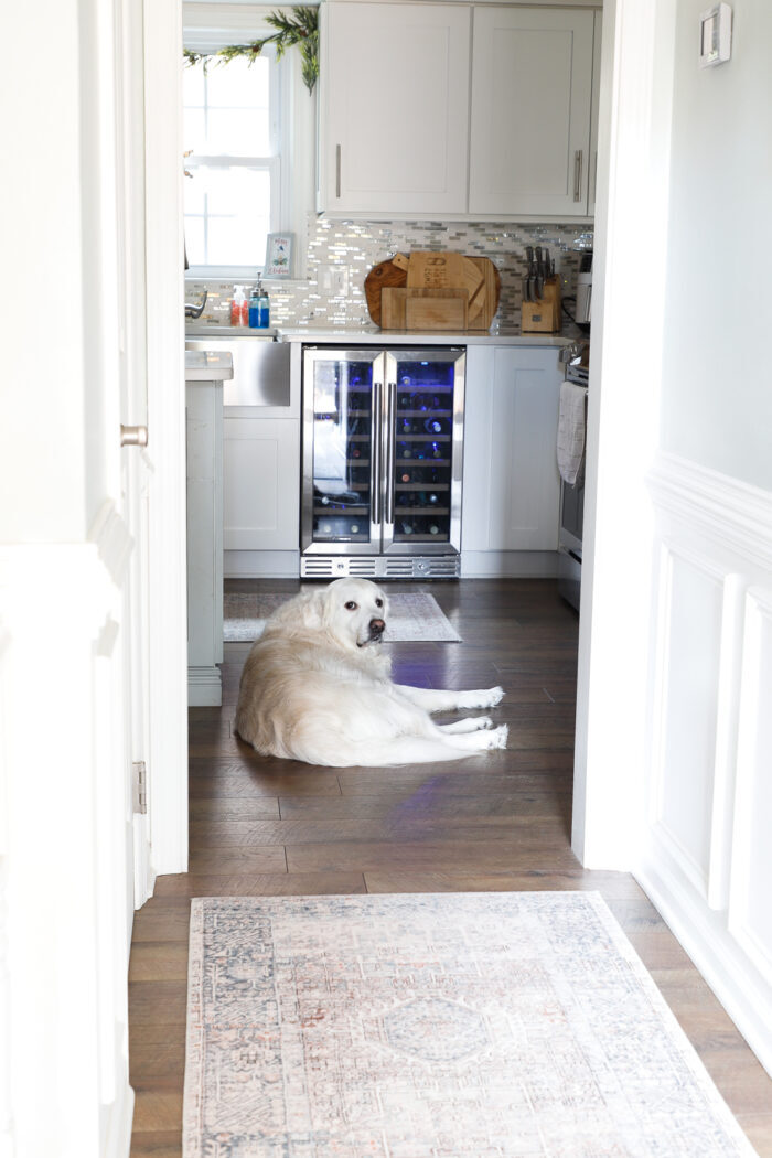 white dog laying in kitchen looking back towards foyer