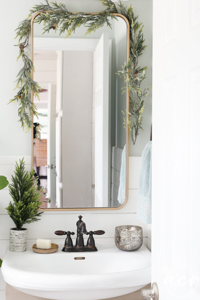 greenery around window in bath over sink