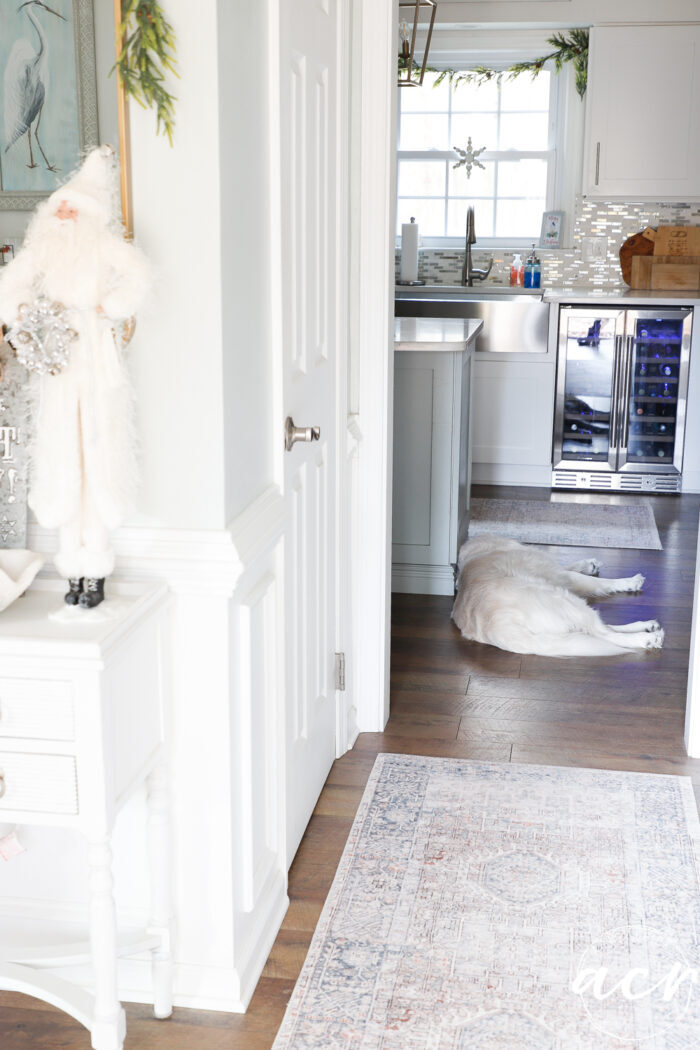 white dog laying down in kitchen 