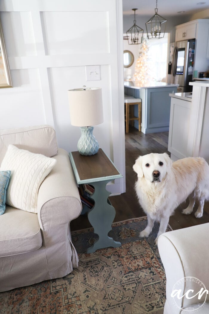 blue side book table in living room with white dog