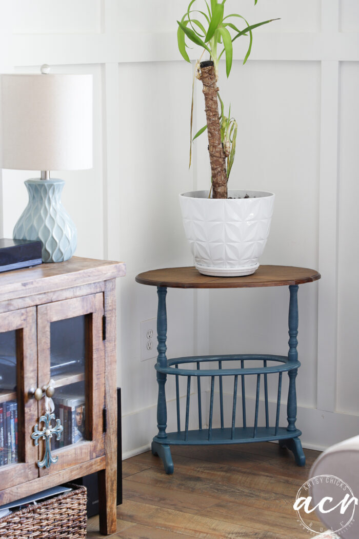 magazine table with white pot and plant on top