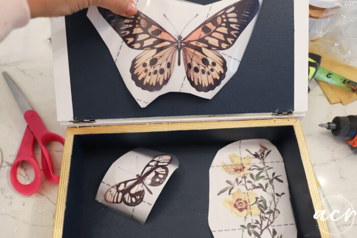 adding butterfly transfers to the inside of the box