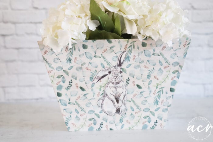 bunny box with white flowers