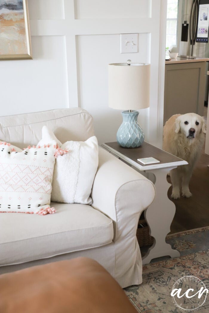 white dog in doorway