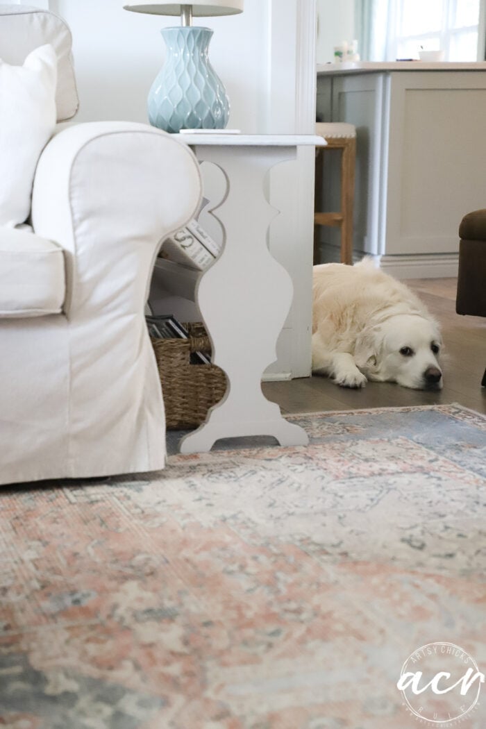 white dog in doorway laying down