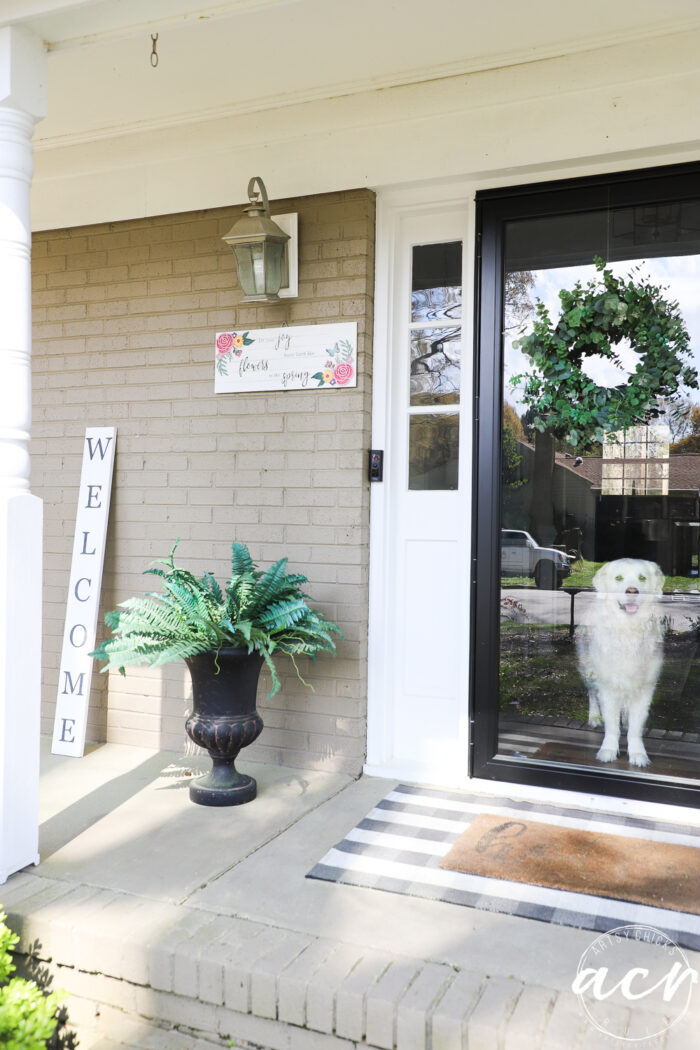 пролећни знак виси на цигли са белим псом поред врата