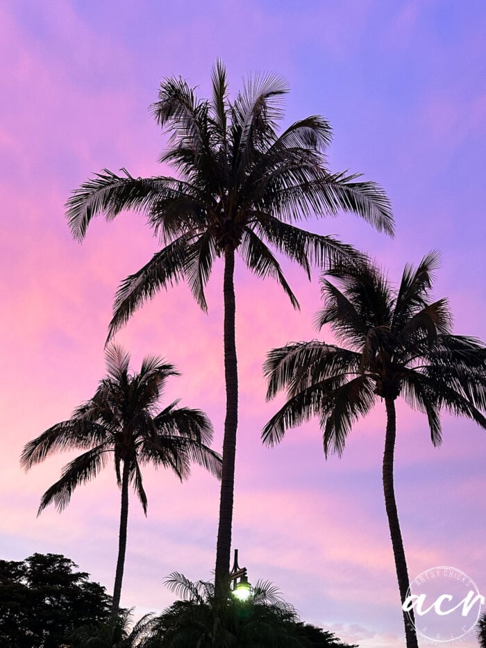 љубичасто и розе небо са палмама
