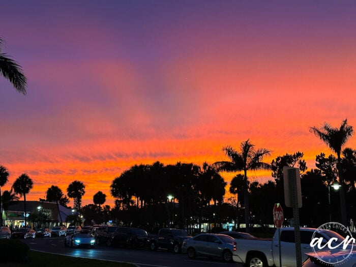 purple and orange sky with palm trees