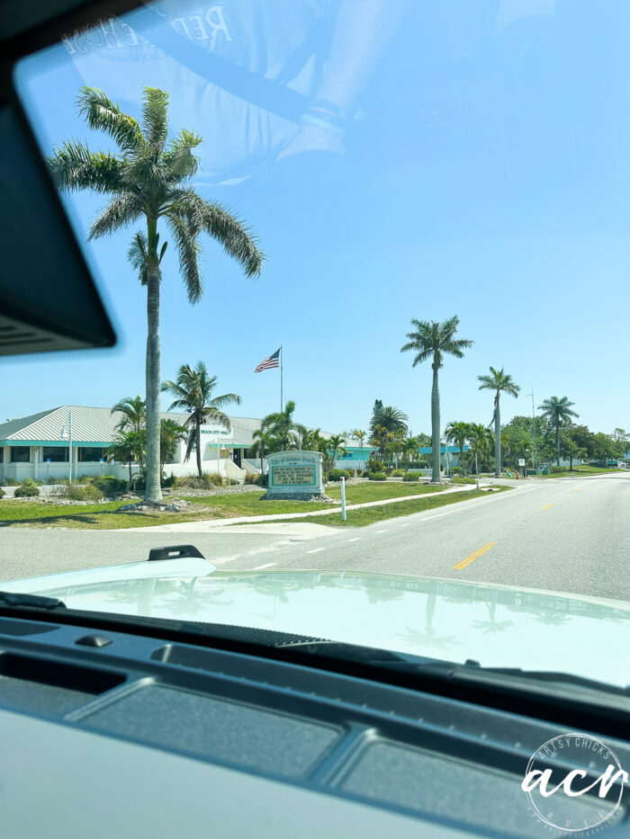 driving and palm trees