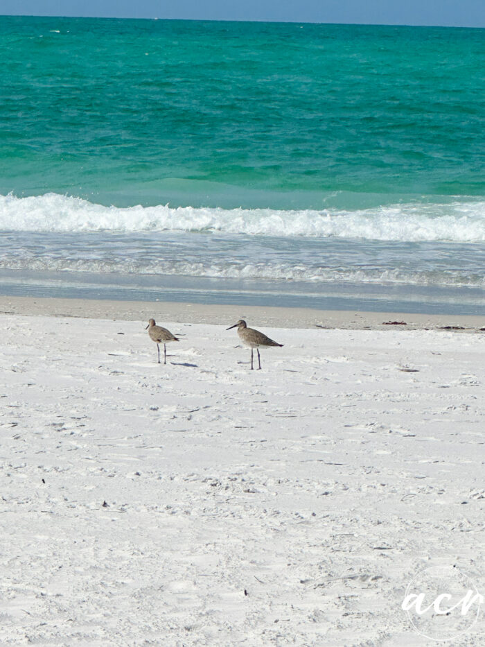 sand and water
