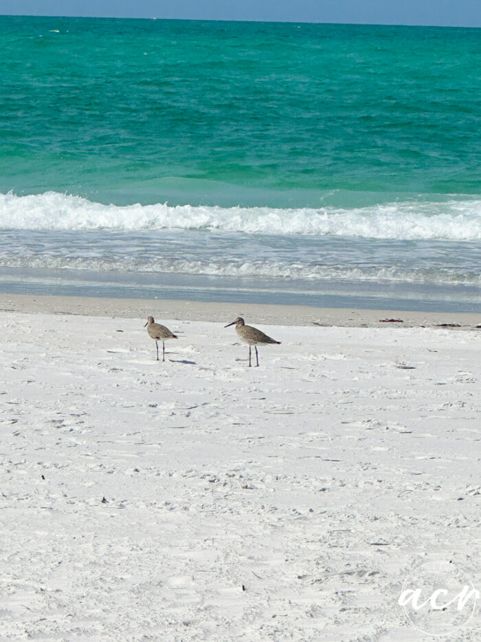 sand and water