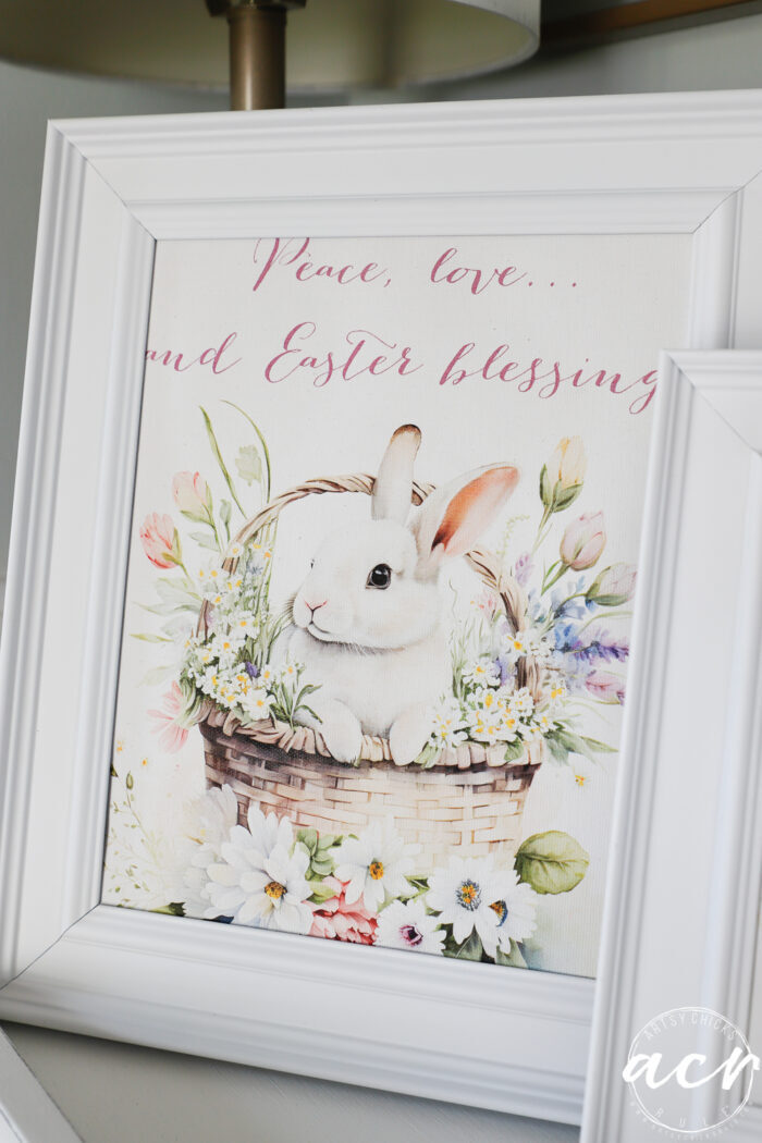 bunny in white frame