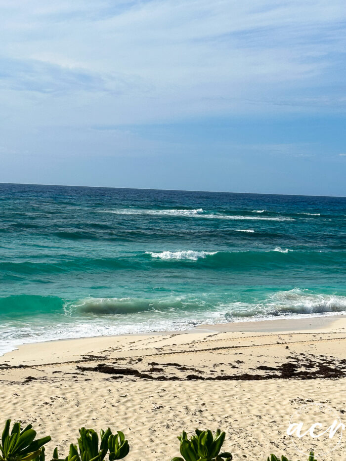 pretty green/blue water ocean with waves and yellow sand