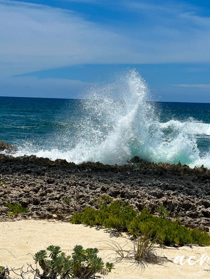 wave splashing up onto the rocks and coral caught in mid air