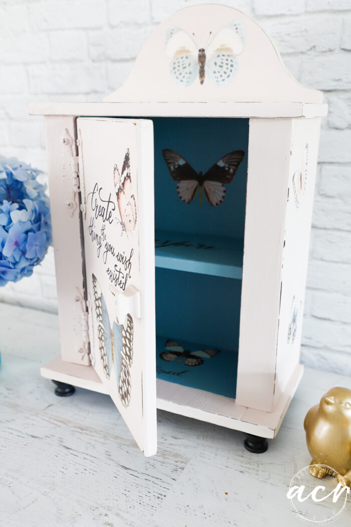 butterfly cabinet with door open 