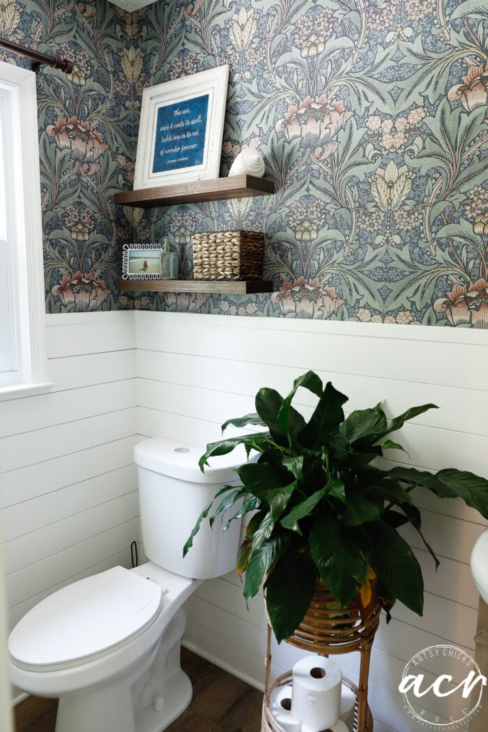 colorful wallpaper, green plant, wood shelves