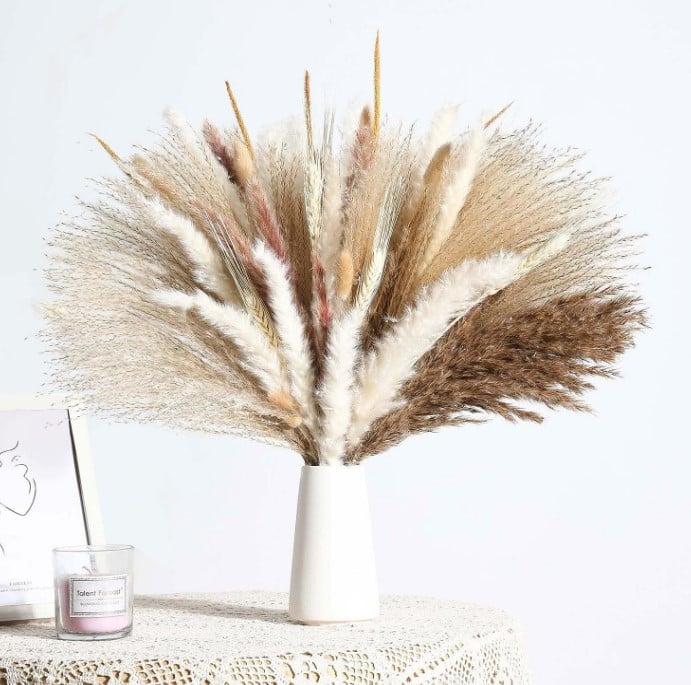 dried pampas grass in a white vase