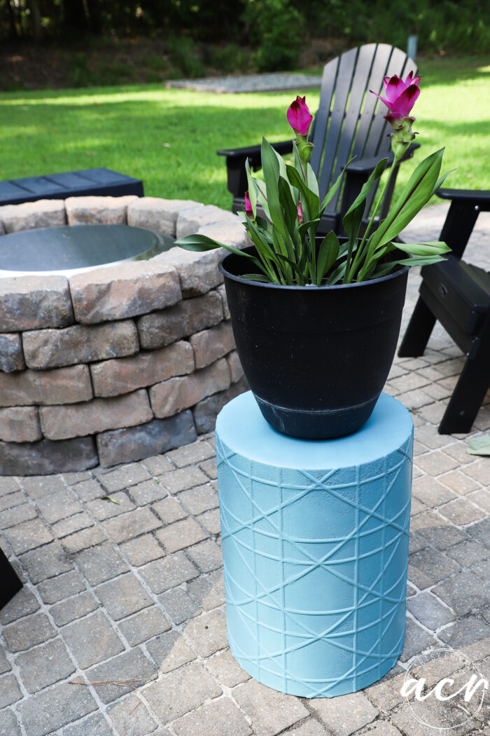 hot pink flowered plant in black planter on aqua stand