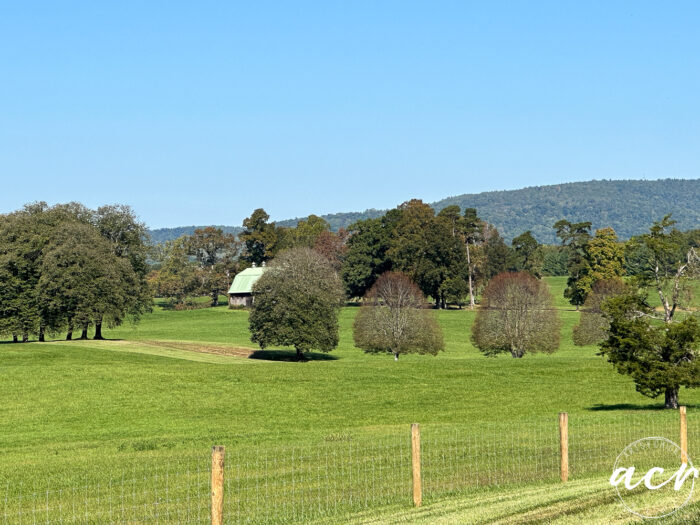 green fields, trees and a green metal roof barn