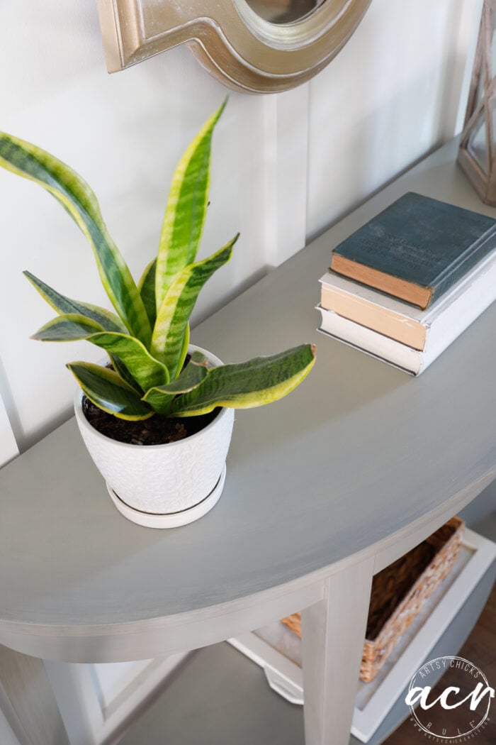 green plant on console table