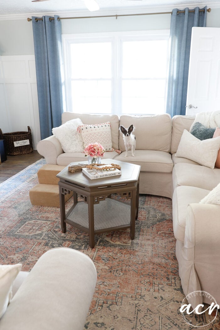 tan couch with little dog standing on it and steps by couch for dog